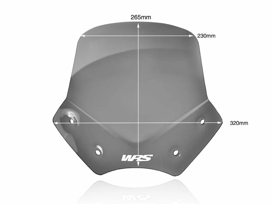 BMW R 1200 R [WRS] - parabrezza