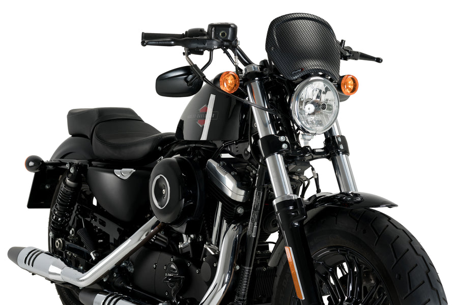 HARLEY DAVIDSON SPORTSTER FORTY-EIGHT XL 1200 X [2020] - Pannello anteriore ABS