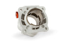 Aprilia SR Netscaper 50 2T LC - kit cilindro R/T 95ccm