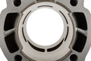 Fantic XE 50 2T - kit termico Big Racing 77cc
