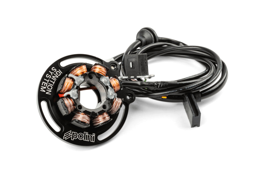 Aprilia SX SM 50 2T D50B0 [2007–] - Digital racing ignition with light