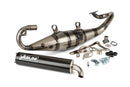 Aprilia SR Netscaper 50 2T LC - Scarico R Carbonio