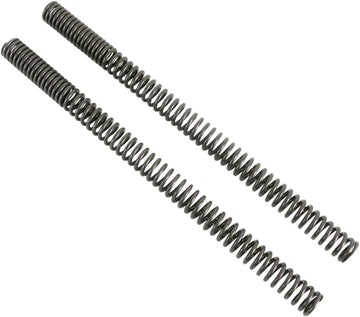 BMW F 900 [PROGRESSIVE SUSPENSION] – Sostituzione molle forcella anteriore