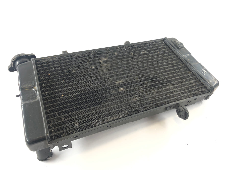Suzuki DL 1000 V -STROM [2006] - Cooler Cool Water