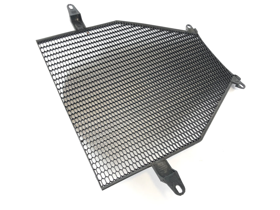 BMW K 1300 S K12S [2009] - Grille di raffreddamento