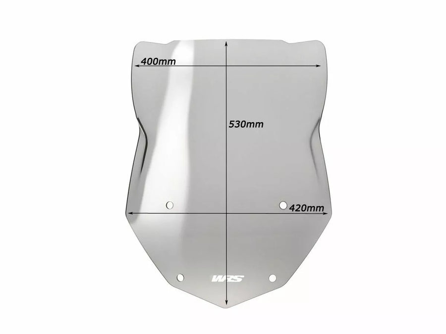 BMW R 1200 GS [WRS] – Windschild