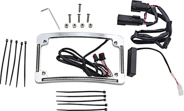 Harley Davidson fltruse [CUSTOM DYNAMICS] – Cornice targa con raggio a LED