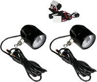 Harley-Davidson FLRT 1868 Freewheeler 114 [2022] - Fendinebbia a LED da 4-1/2" - foto 11
