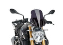 BMW R 1200 R [2018] – New Generation Touring – Tinted-2