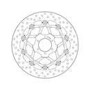 Honda Hornet 600 [BREMBO] - Disco freno flottante tondo Serie Oro-2