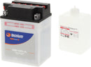 Yamaha YFM 350 Warrior [TECNIUM] - Motorradbatterie-1