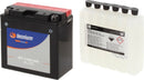 Yamaha Fzs 1000 [TECNIUM] - Batteria senza manutenzione con pacco acido - BT14B-BS