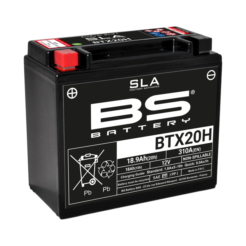 Moto Guzzi Norge 1200 [BS BATTERY] - Motorradbatterie