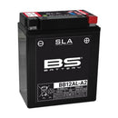 Yamaha XT 600 43F [BS Battery] - motorcycle battery-1