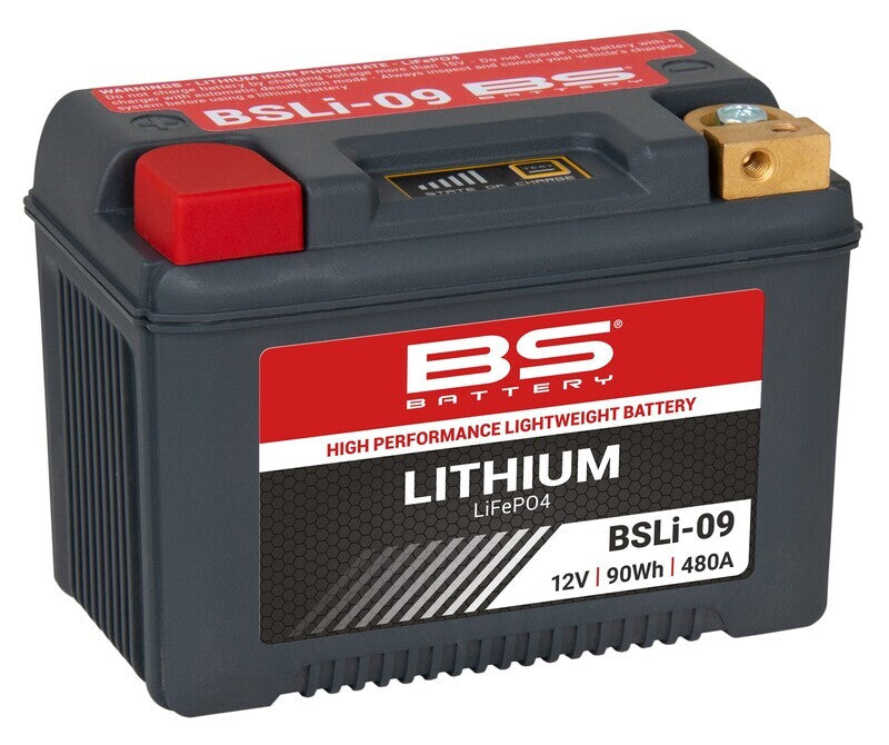 Triumph Tiger 900 Rally TIG900 [BS BATTERY] - Lithium-Ionen-Motorradbatterie