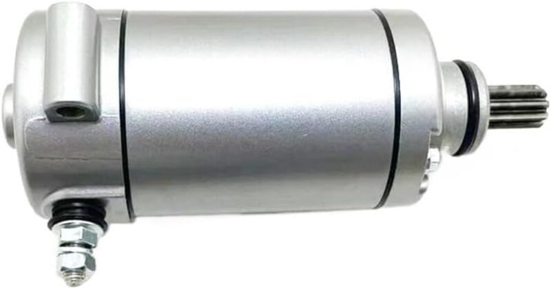 Benelli Leoncino 500 [TECNIUM] - Avviamento