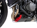 Triumph Tiger Sport 660 [2022-2025] - Motorschutzplatte-4