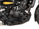 Royal Enfield Himalayan 450 [2024-2025] - Motorschutzplatte-3