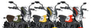DUCATI SCRAMBLER DESERT SLED [2025] – Visiera per parabrezza RetroVision – Colorata-20