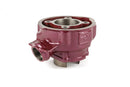Beta RR-T SM 50 2T - kit termico Due Plus 75 cc modulare