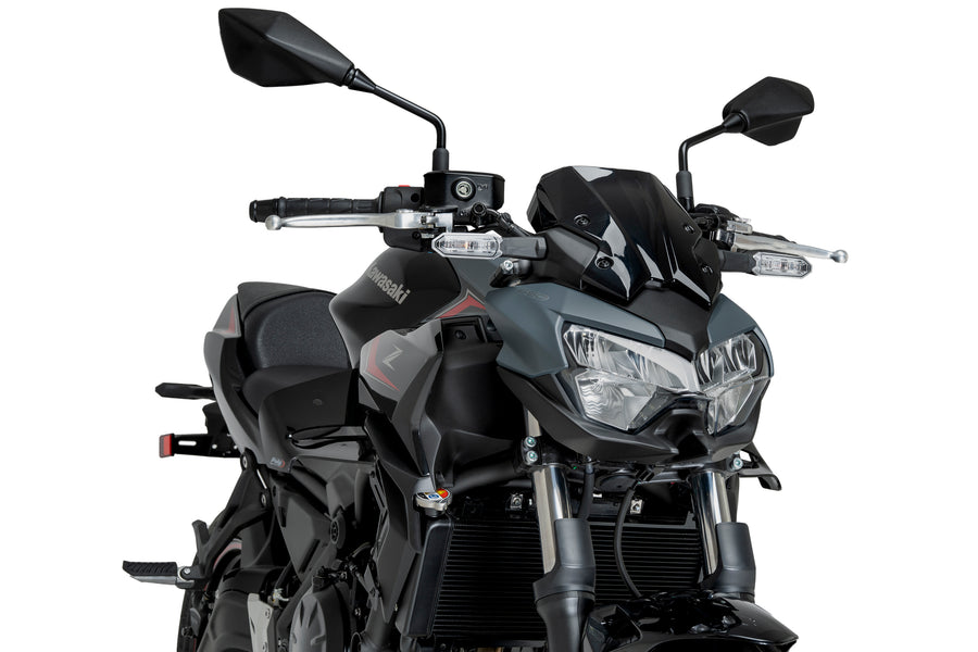 KAWASAKI Z 650 [2025] – D12 Spoiler – Schwarz