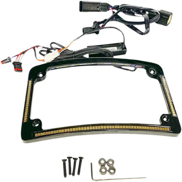 Harley Davidson fltruse [CUSTOM DYNAMICS] – Cornice targa con raggio a LED - 0