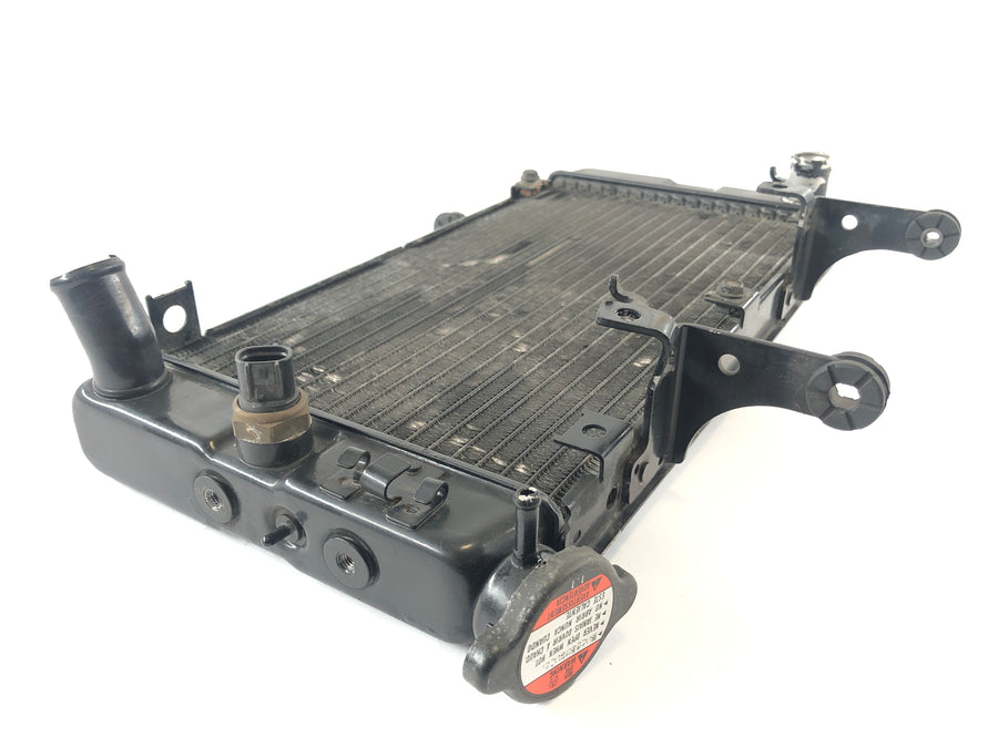 Suzuki DL 1000 V -STROM [2006] - Cooler Cool Water