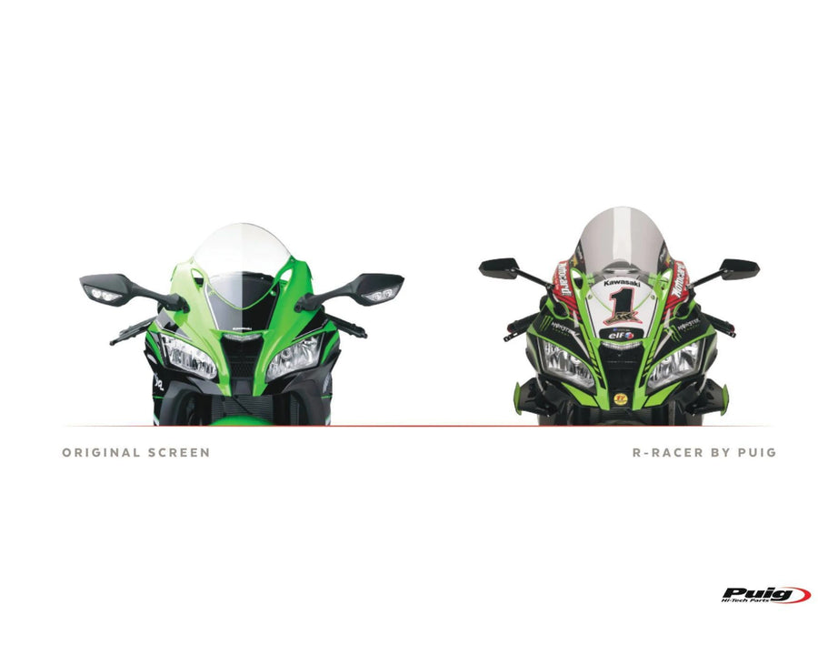 KAWASAKI ZX-10RR NINJA PERFORMANCE [2018] – Cupolino R-Racer – Colorato