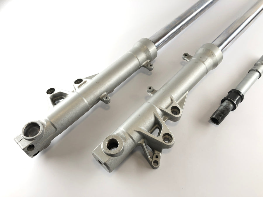 BMW F 800 S [2007] - Gabel Telegabel con asse