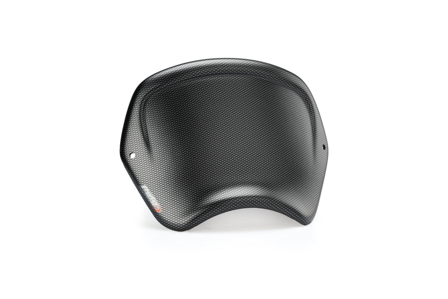 HARLEY DAVIDSON SPORTSTER FORTY-EIGHT XL 1200 X [2020] - Pannello anteriore ABS