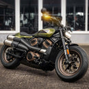 harley davidson sportster s 1250 [HEINZ BIKES] – NANO Strahler-4