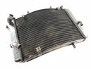 Triumph Street Triple R 675 D67LD [2008] - Cooler Cool Water-4