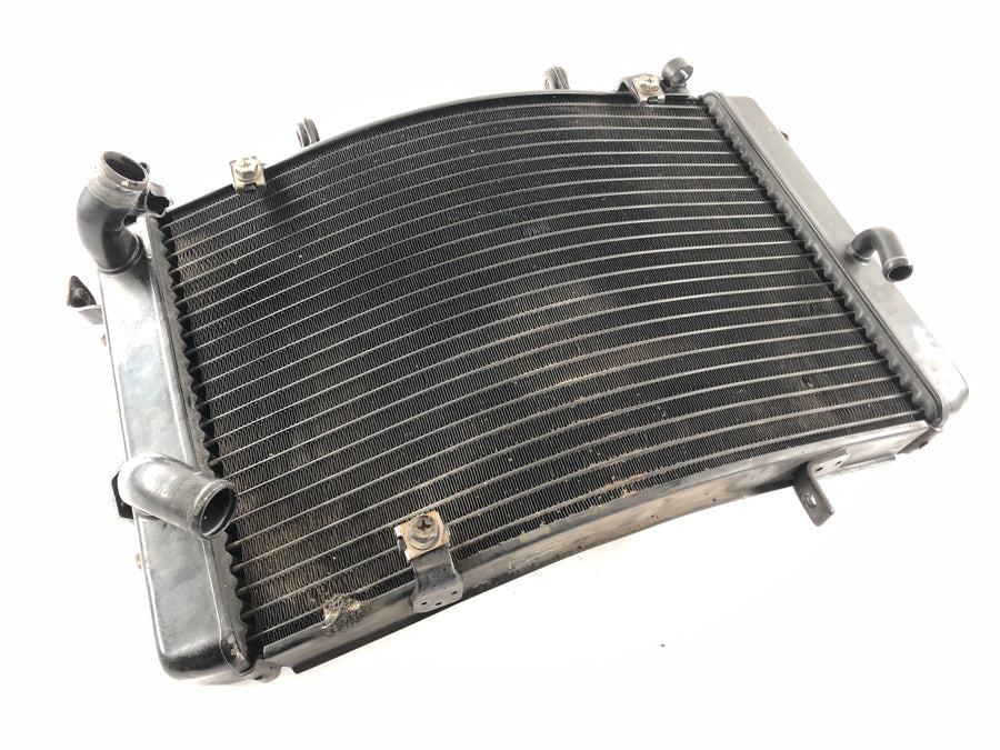 Triumph Street Triple R 675 D67LD [2008] - Cooler Cool Water