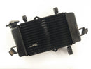 Yamaha YZF 125 RE06 [2011] - Cool Acqua Refrigeratore-1