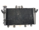 Triumph Speed ​​Triple 1050 515NJ [2006] - Cool Cooler Acqua-4