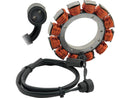 Harley Davidson Sportster [1991-2006] -Lectric Stator 22 AMP non coperto-1