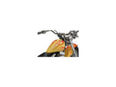 Harley Davidson Softail Note [2000-2006] -Ber Style di Cole Forster-1