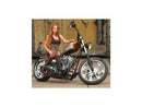 Harley Davidson Touring [2008-2024] – Eliminator-7 Bremsscheibe hinten-4