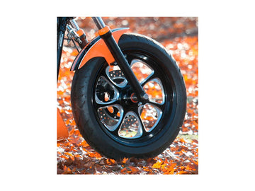Harley Davidson Dyna [2000-2005] – Eliminator 7 Riemenscheibe Schwarz 1 1/8" 70 Zähne - 0
