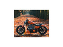 Harley Davidson Dyna [2000-2005] – Eliminator 7 Riemenscheibe Schwarz 1 1/8" 70 Zähne-4
