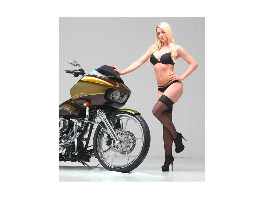 Harley Davidson Sportster [2014-2020] – T-5 2-teiliger Bremsscheibe Chrom 11,8" Vorne