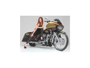 Harley Davidson Sportster [2014-2020] – T-5 2-teiliger Bremsscheibe Chrom 11,8" Vorne-9