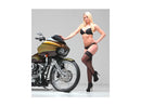 Harley Davidson Sportster [1986-2010] – T-5 2-teiliger Bremsscheibe Chrom 11,5"-3
