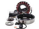 Harley Davidson Dyna [2003-2005] – 3-Phasen-Ladesystem Motorräder mit offenen-1