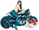 Harley Davidson Sportster [2004-2020]-Heck for Sporter Cafe Racer models-1