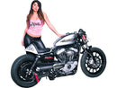 Harley Davidson Sportster [2004-2020]-Heck for Sporter Cafe Racer models-3