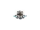 Harley Davidson FX Model [1985-1994] -High-Performance Bee Basket Valve Spring Kit-3