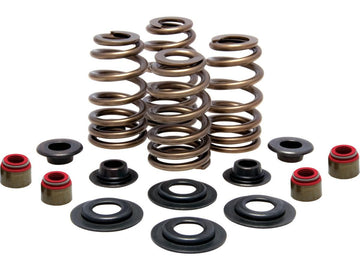 Harley Davidson Sportster [2004-2020] -High-Performance Bee Basket Valve Spring Kit