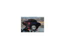 Harley Davidson Flhtcui [2005-2006] -High-Performance Sostituzione del parabrezza del vento Altezza: 4 "-3