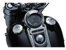 Harley Davidson FX Model [1988-1994] -Zombie Fuel/Battery Display-6
